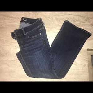 Artist stretch dark flared jeans